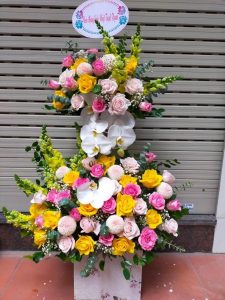 Hoa Tươi Gía Rẻ